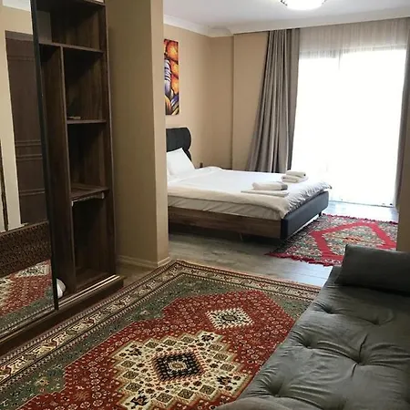 Dsf & Spa A17 * Sapanca