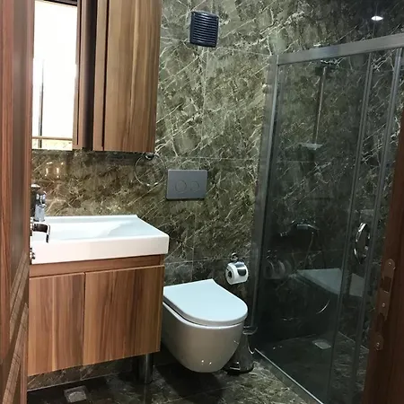Dsf & Spa A17